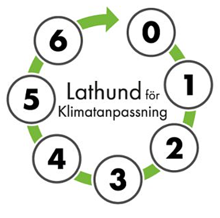 Illustration av processen för Lathund för klimatanpassning. Snurra med stegen som är relevanta för att ta fram en klimatanpassningsplan.